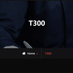 Desktop-Level 3D Printer - T300